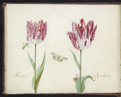Twee tulpen met wesp, vlinder en slak
