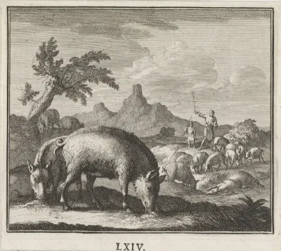 Twee varkens