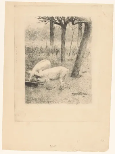 Twee varkens bij een trog