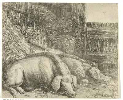 Twee varkens. Verschillende dieren (serietitel). Beesjes van de Vlieger (serietitel)