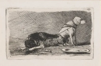 Twee vastgebonden honden