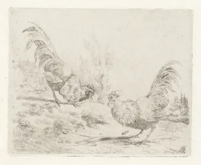 Twee vechtende hanen