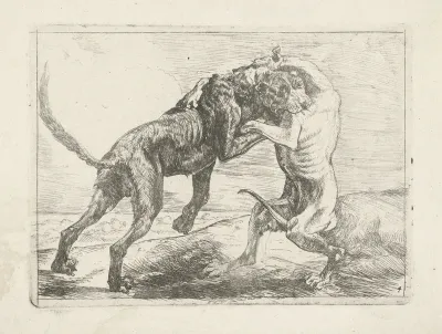 Twee vechtende honden