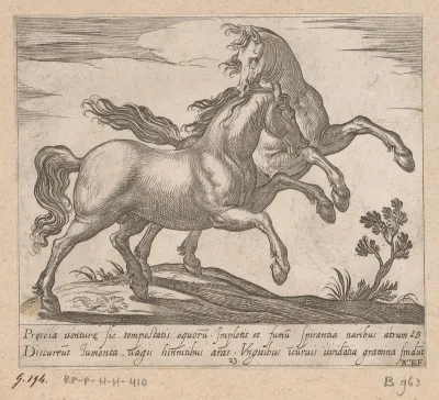 Twee vechtende paarden naar rechts rennend