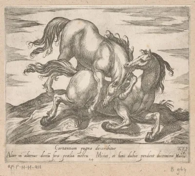 Twee vechtende paarden