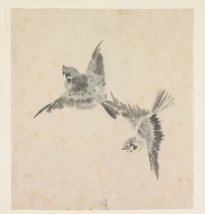 Twee vliegende vogeltjes