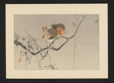 Twee vogels in schemer op tak
