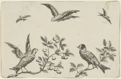 Twee vogels op een tak en drie vogels in de lucht
