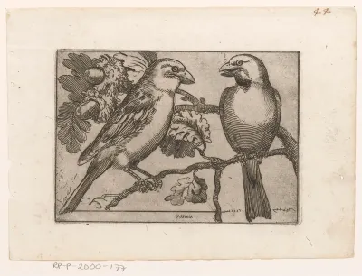 Twee vogels op tak