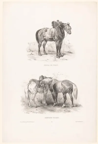 Twee voorstellingen met een trekpaard en picardische paarden