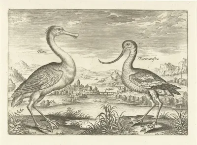 Twee waadvogels in een rivierlandschap