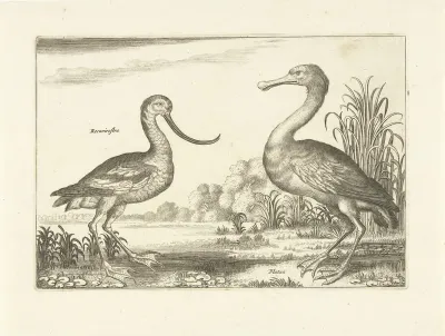 Twee waadvogels in een rivierlandschap