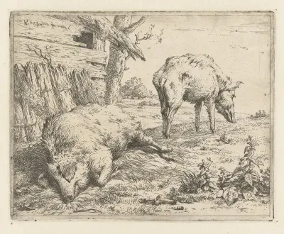 Twee zwijnen