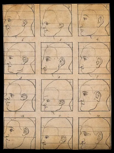 Twelve human profiles in outline, sectioned to show their disproportion