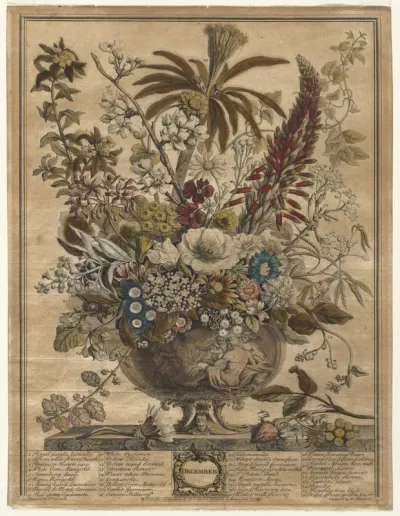 Twelve Months of Flowers:  December