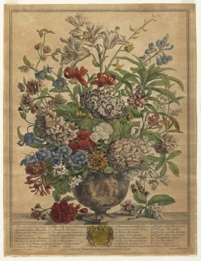 Twelve Months of Flowers:  July