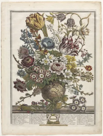 Twelve Months of Flowers:  March