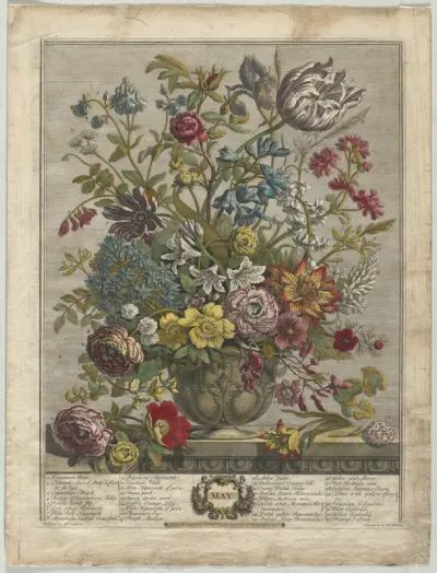 Twelve Months of Flowers:  May