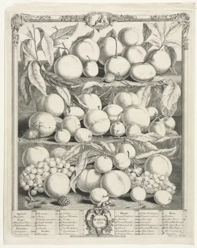 Twelve Months of Fruit:  August