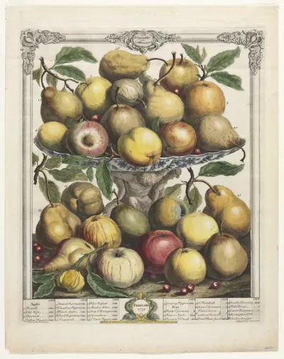Twelve Months of Fruit:  February