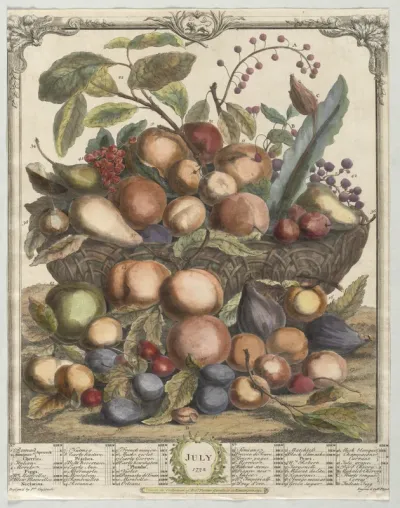Twelve Months of Fruit:  July