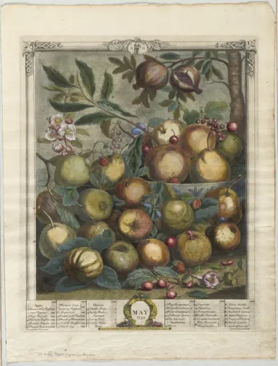 Twelve Months of Fruit:  May
