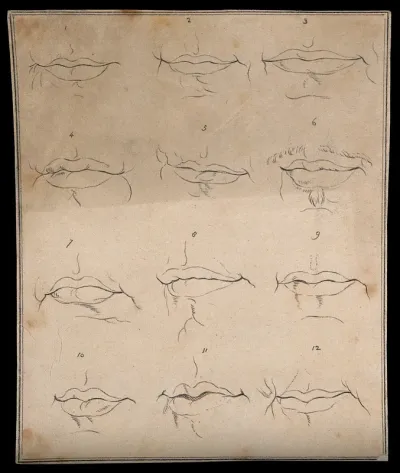 Twelve mouths. Drawing, c. 1793