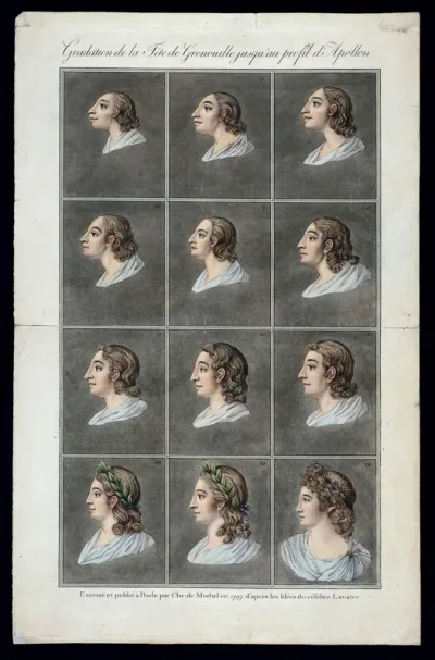 Twelve stages in the sequence from the head of a primitive man to the head of the Apollo Belvedere