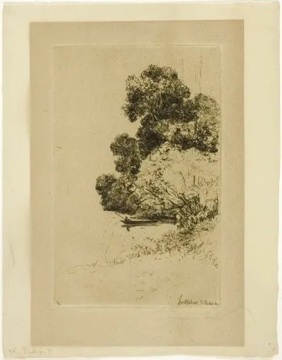 Twickenham Bushes