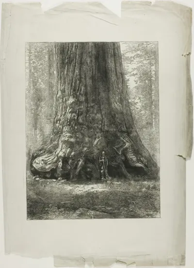 Twisted Trees