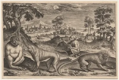 Two Apes and Two Monkeys