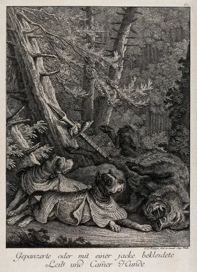 Two armour-clad hunting dogs resting next to a speared wild boar in a forest