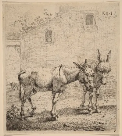 Two Asses