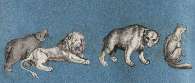Two bears, a lion and a fox
