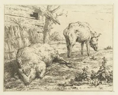 Two Boars