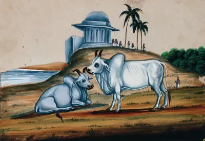 Two bullocks in the foreground with a building on top of a hill in the background