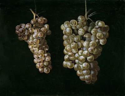 Two Bunches of Grapes