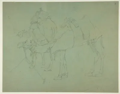 Two Camels