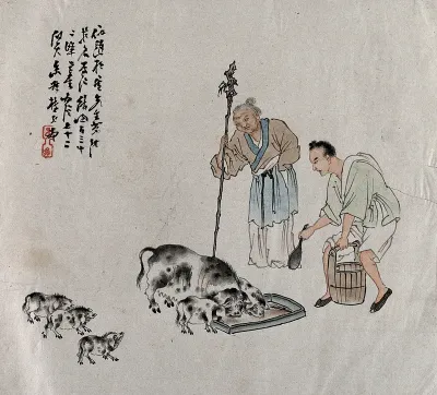 Two Chinese farmers feed a family of pigs