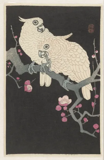 Two cockatoo and plum blossom