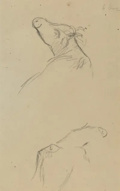 Two Cow's Heads [verso]