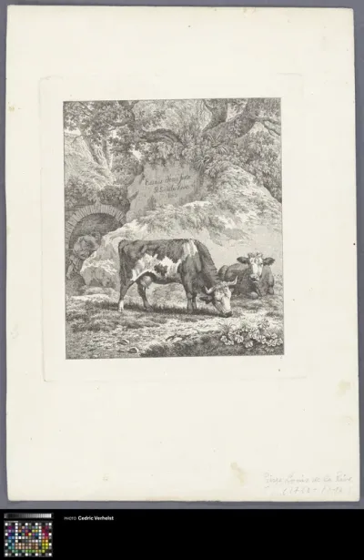 Two cows