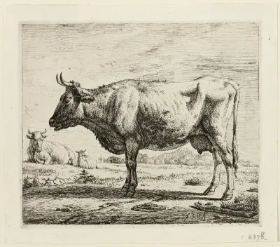 Two Cows and a Sheep