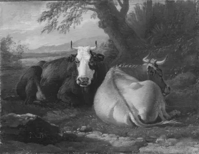 Two Cows Resting