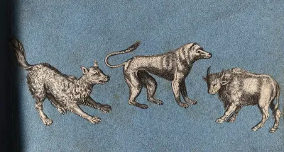 Two dog-like animals and a bull