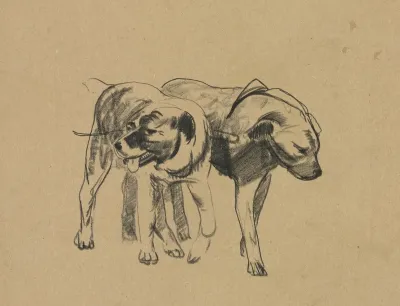 Two Dogs