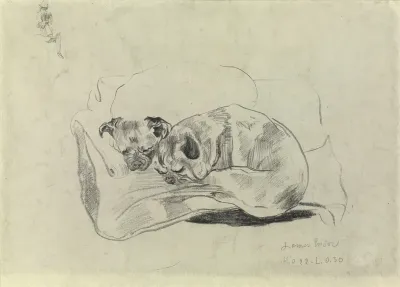Two Dogs