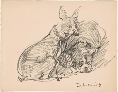 Two Dogs