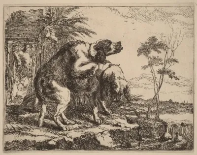 Two Dogs Copulating