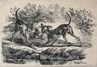 Two dogs fighting over a piece of wood